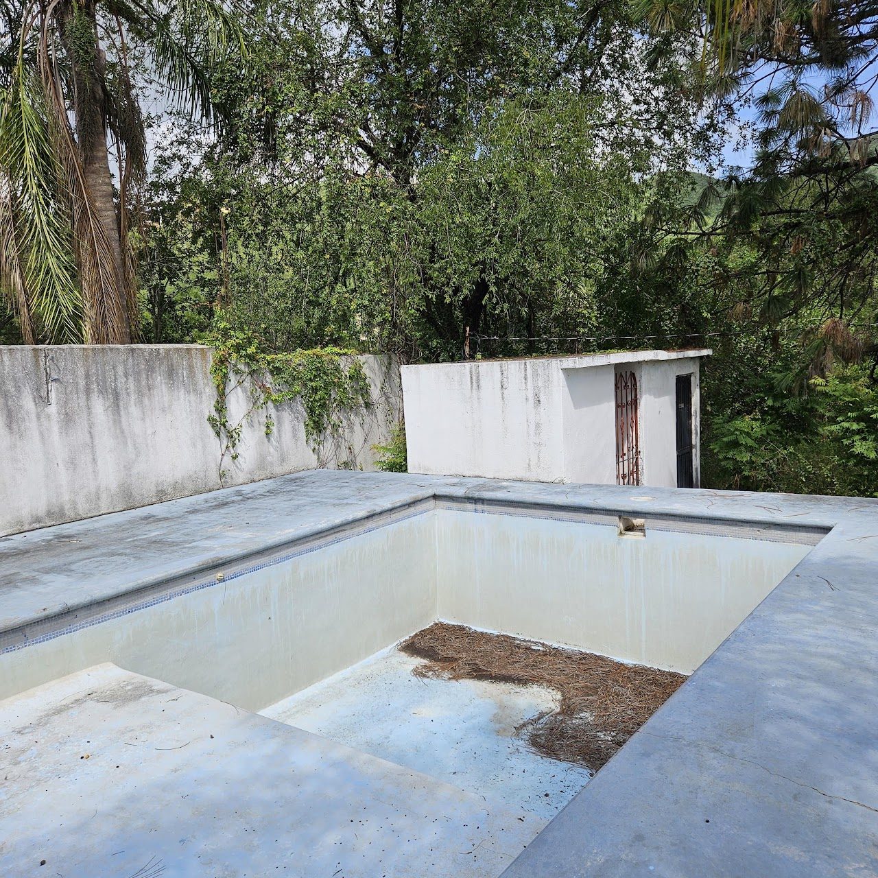 Alberca dentro del terreno